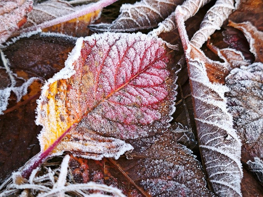 Photograph by Владимир Лобанов