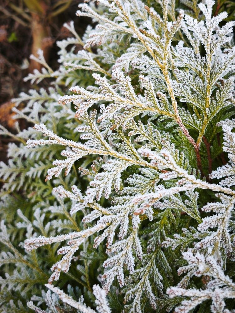 Photograph by Владимир Лобанов