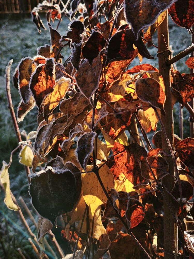 Photograph by Владимир Лобанов