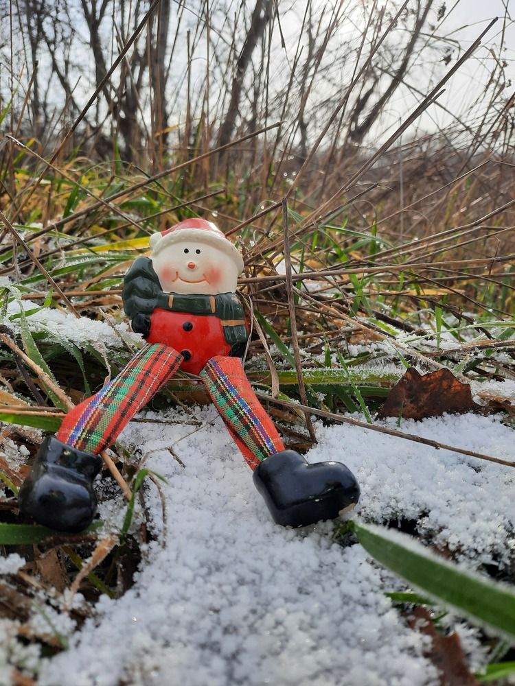 Photograph by Елена