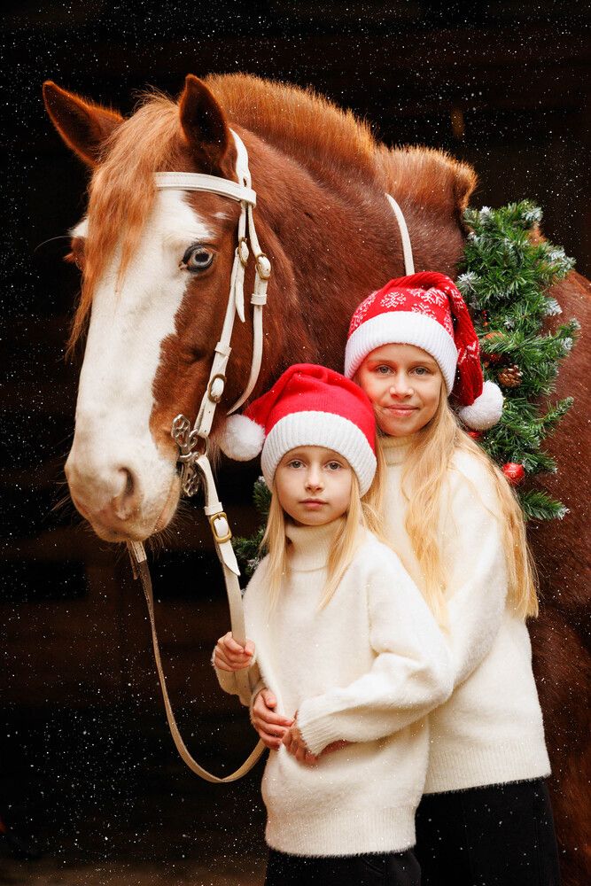Фотография автора Елена Гордиевская