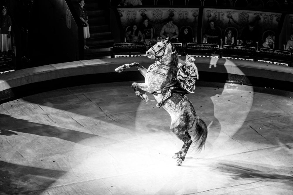 Photograph by Сергей Зимин