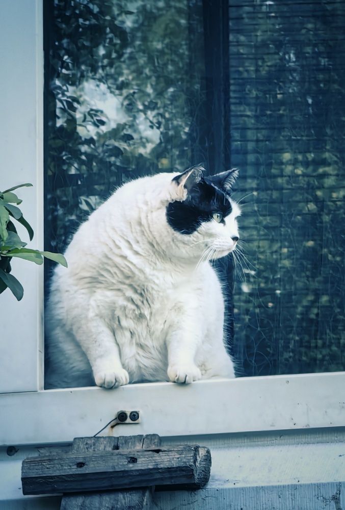 Photograph by Maiya Bulatova