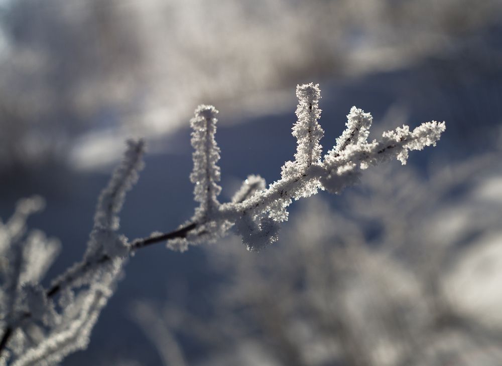 Photograph by Панюшкин Андрей