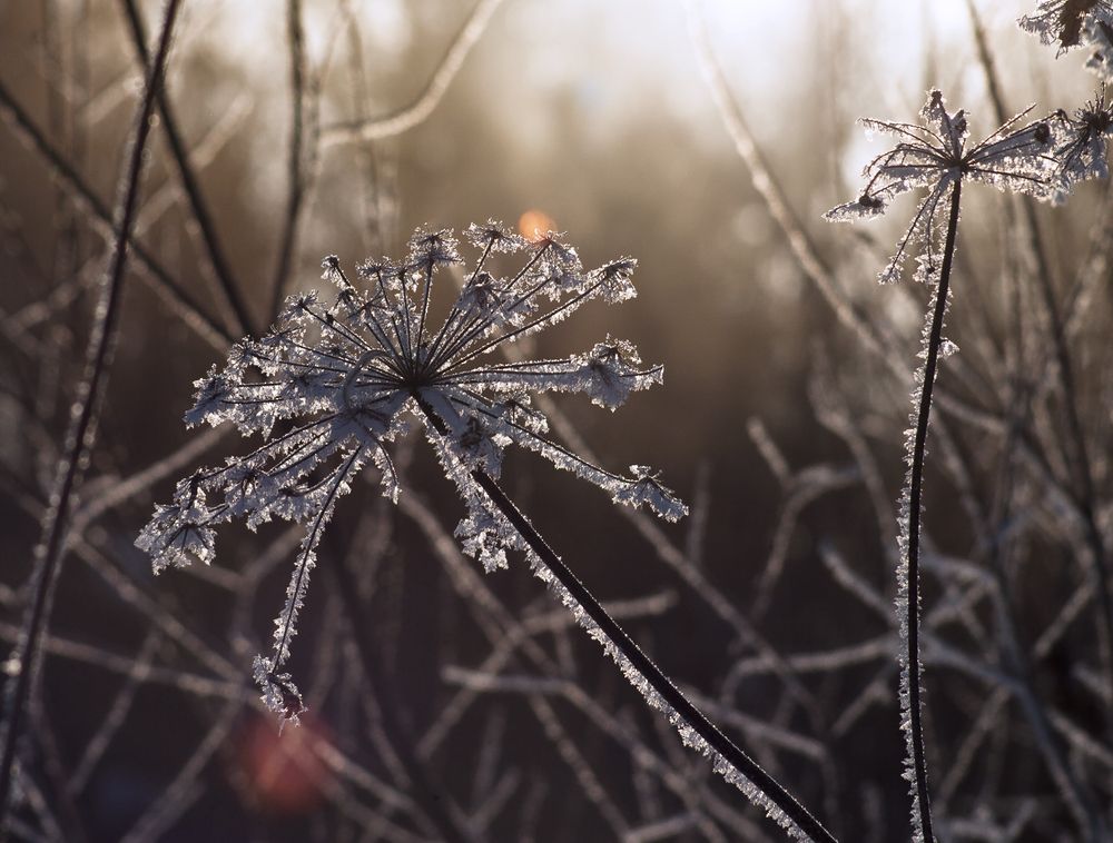 Photograph by Панюшкин Андрей