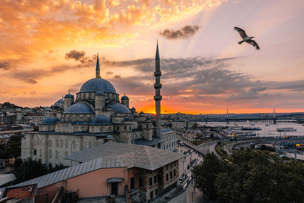 Фотография автора Selman Senturk