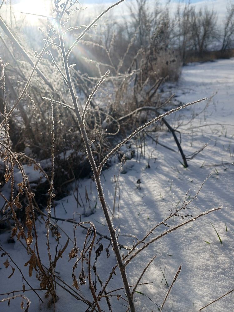 Photograph by Татьяна Королёва
