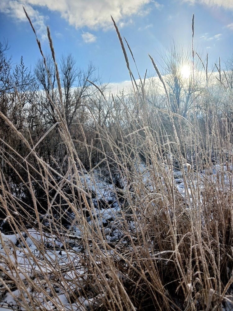 Photograph by Татьяна Королёва