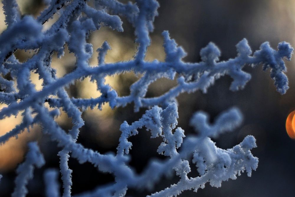 Photograph by Инна Карасева