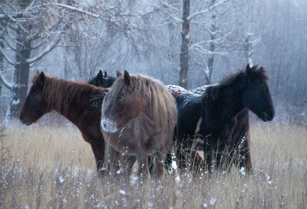 Photograph by Альберт Куулар