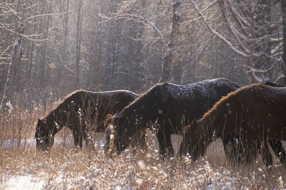 Photograph by Альберт Куулар