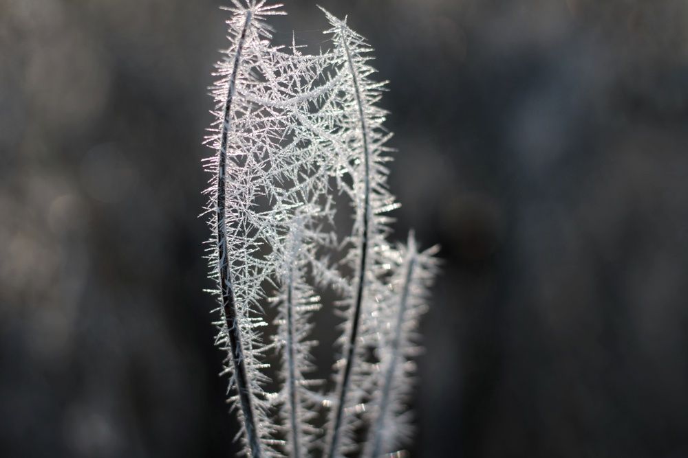 Photograph by Инна Карасева