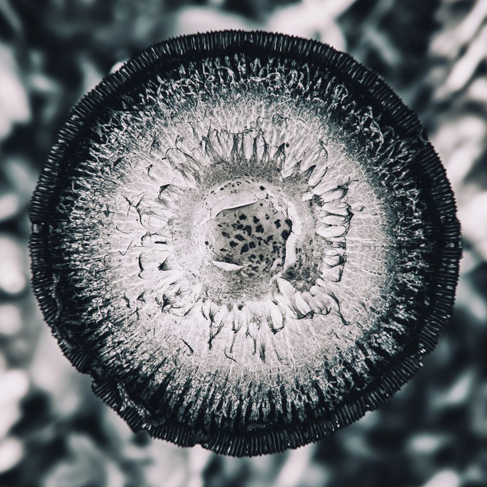 Фотография автора Михаил Спрау