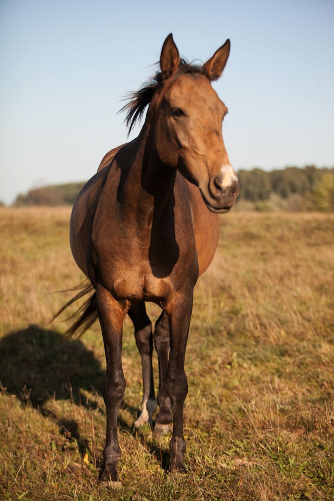 Photograph by Лолита Богачева