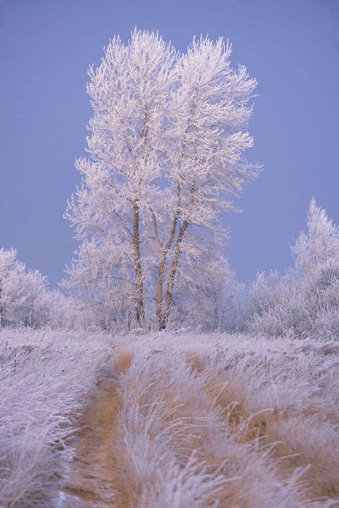 Photograph by Константин Белоногов