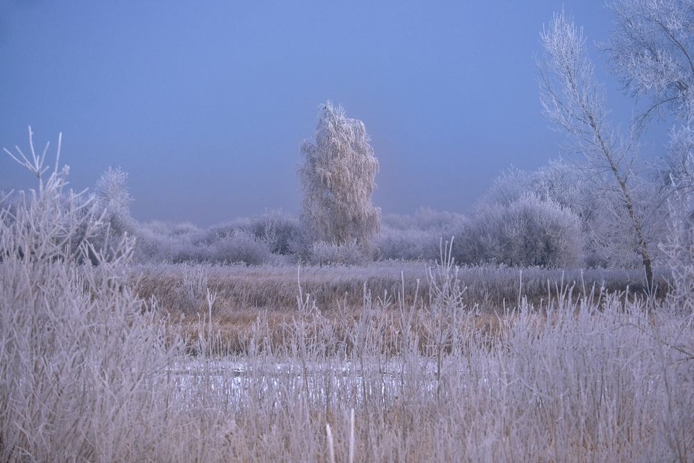 Photograph by Константин Белоногов