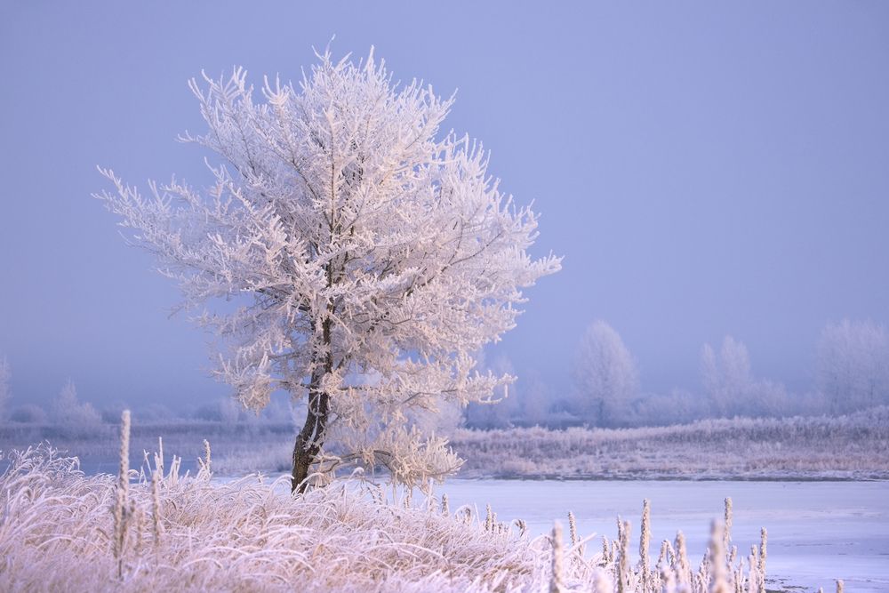 Photograph by Константин Белоногов