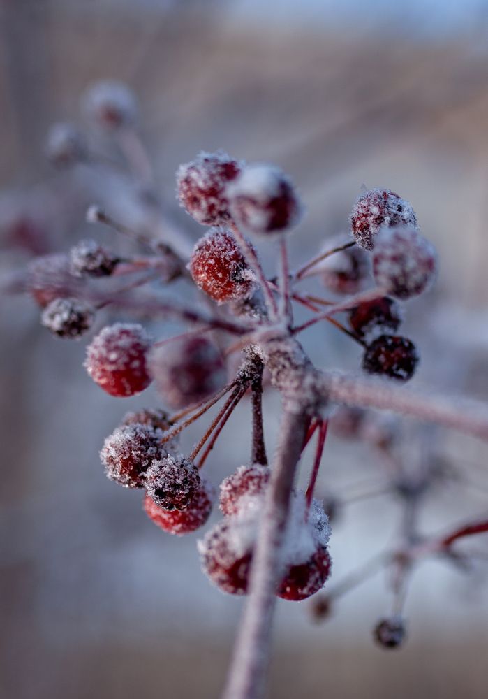 Фотография автора Мария Анатольевна Кузовлева