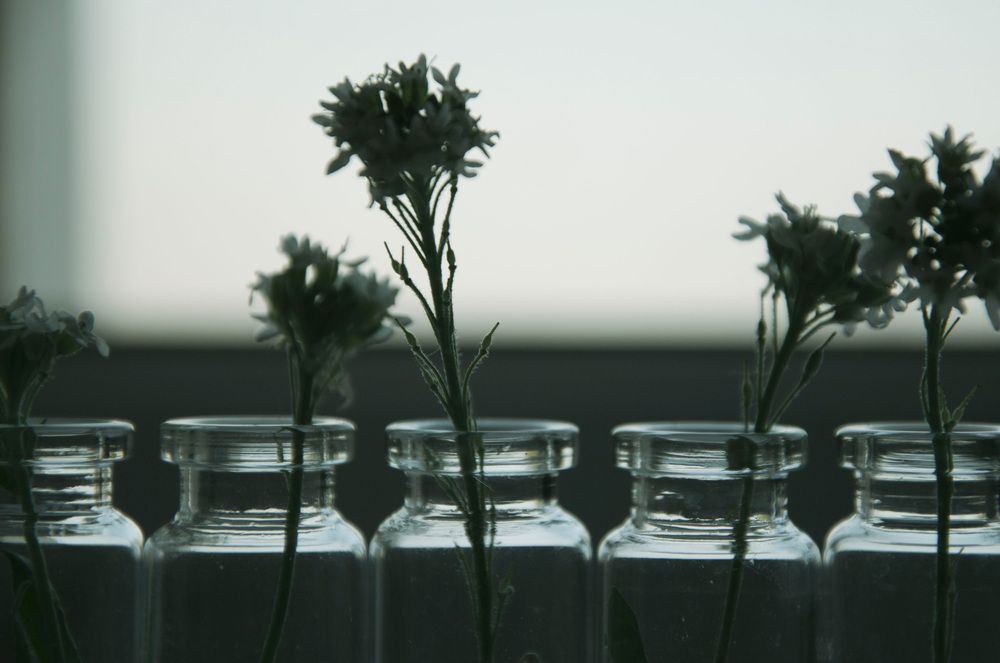 Photograph by Ульяна Бедрицкая