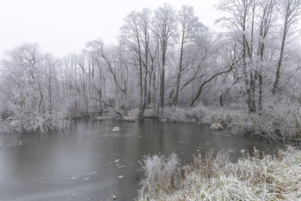Фотография автора Вадим Копилец