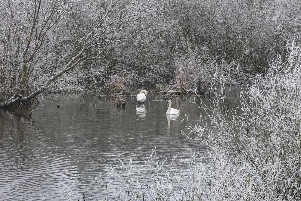 Фотография автора Вадим Копилец