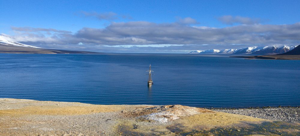 Фотография автора Юрий Масляев