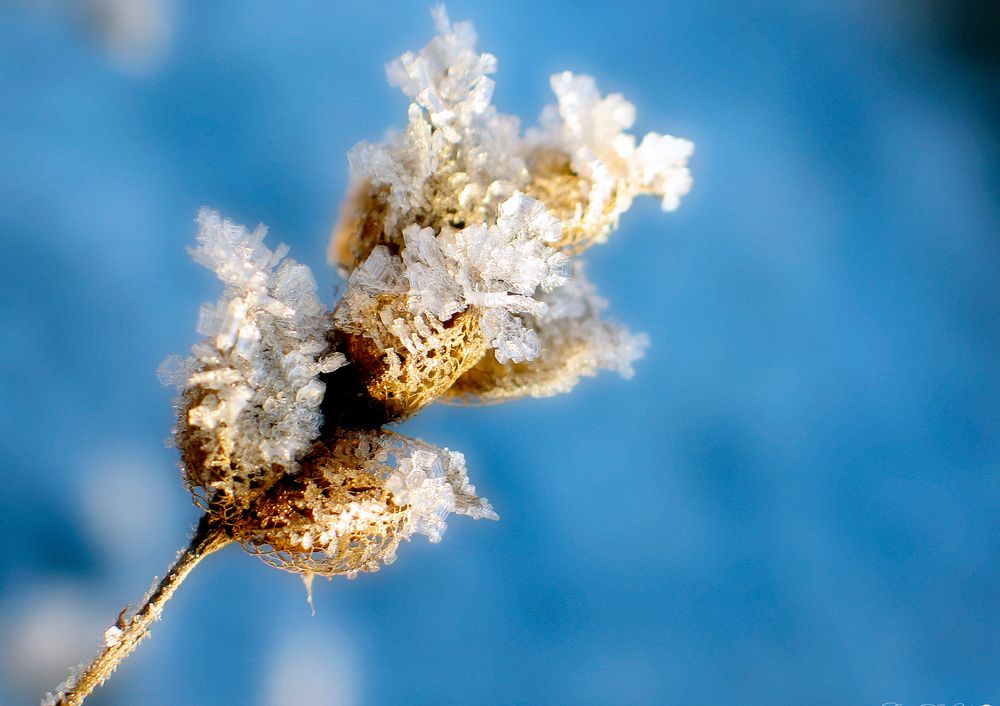 Photograph by Pavel Gukov