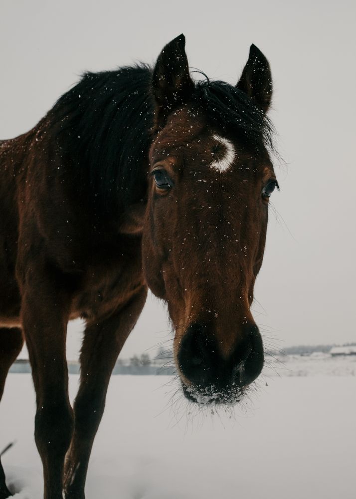 Photograph by Диана Минабутдинова