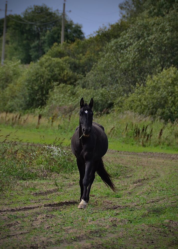 Photograph by Мария Петровцева