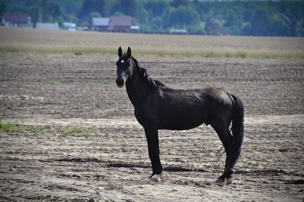 Photograph by Мария Петровцева
