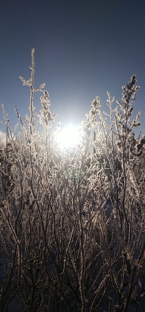 Photograph by Елена Киселёва