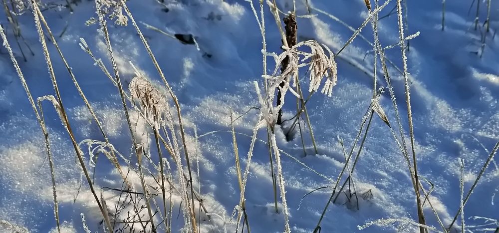 Photograph by Наталья Баранова