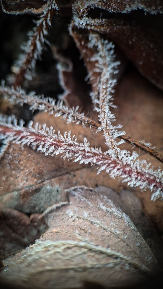 Photograph by Tatiana Kirillova