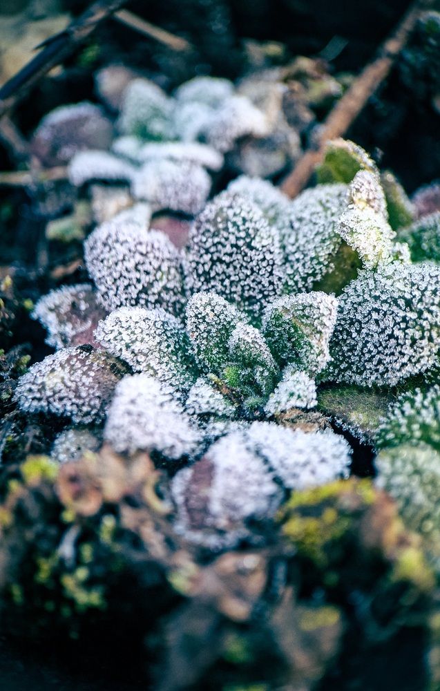 Photograph by Tatiana Kirillova