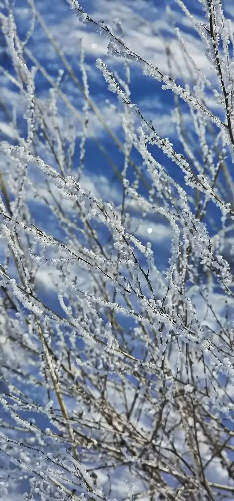 Photograph by Наталья Баранова