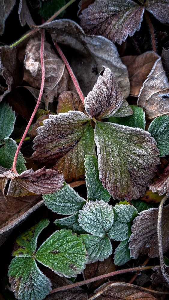 Photograph by Tatiana Kirillova