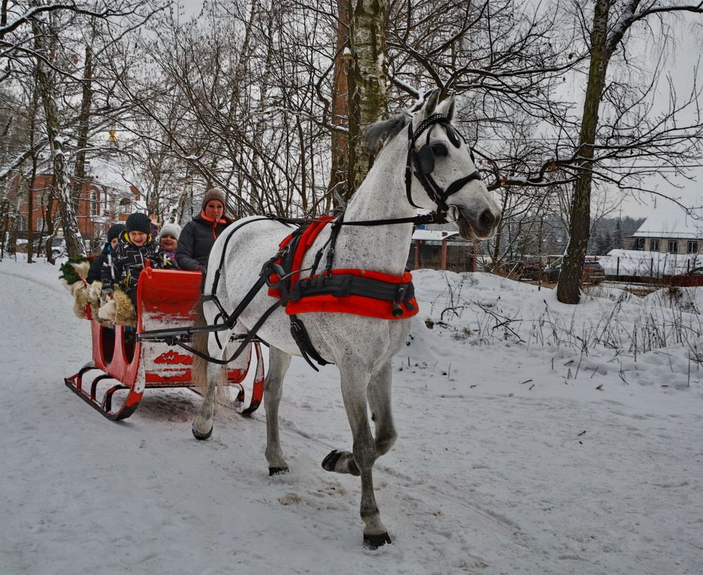 Photograph by Анастасия Смирнова