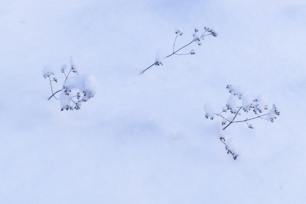 Photograph by Толстоноженко Илья