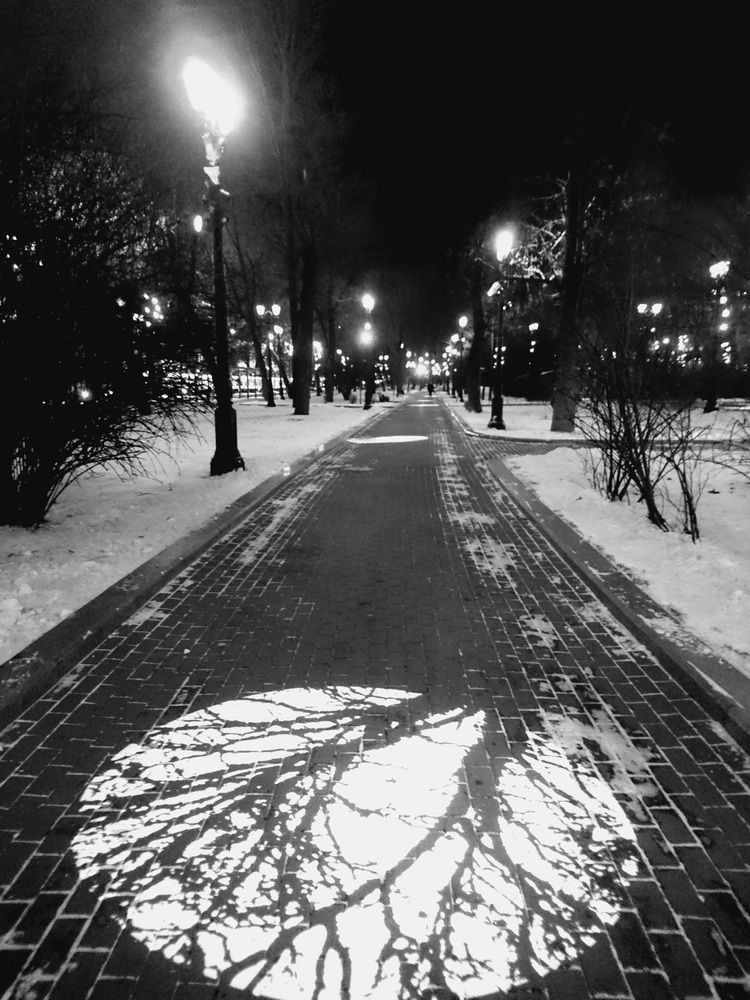 Photograph by Ольга Булавкина