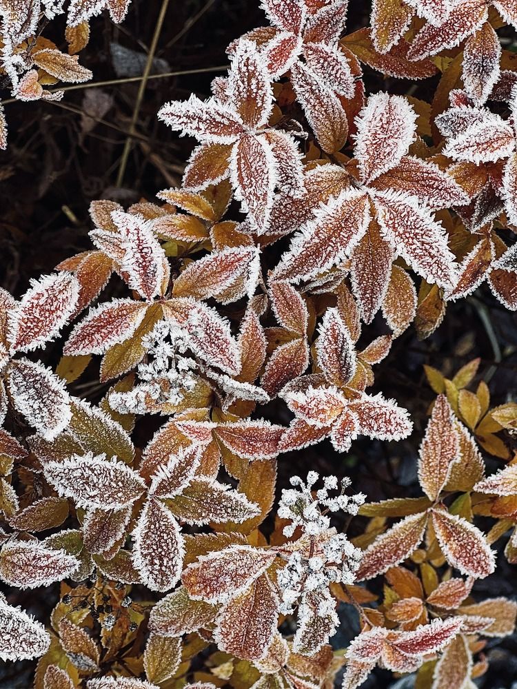 Photograph by Диана Минабутдинова