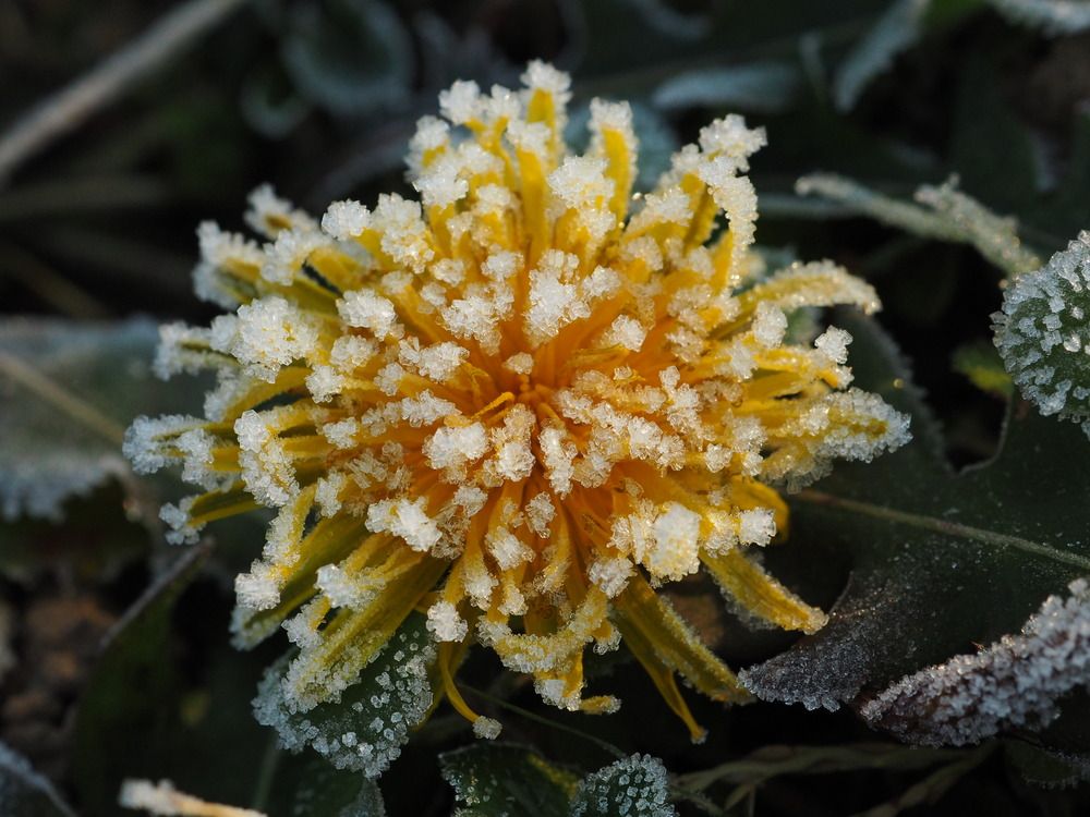 Photograph by Patrizia Bellotti