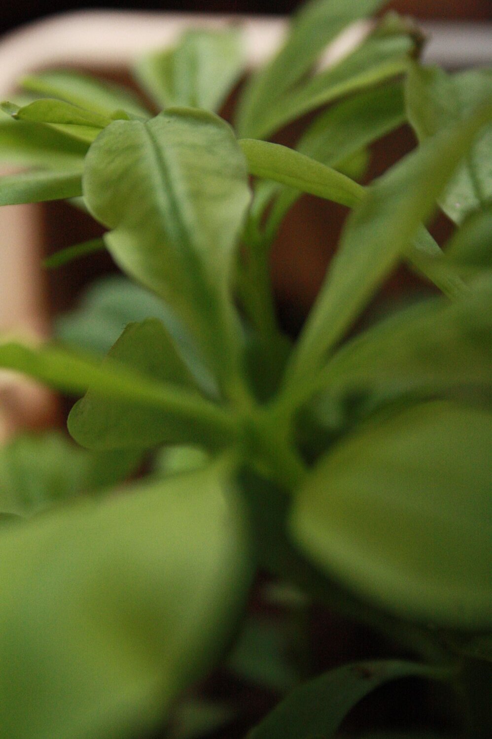 Photo #13022028
