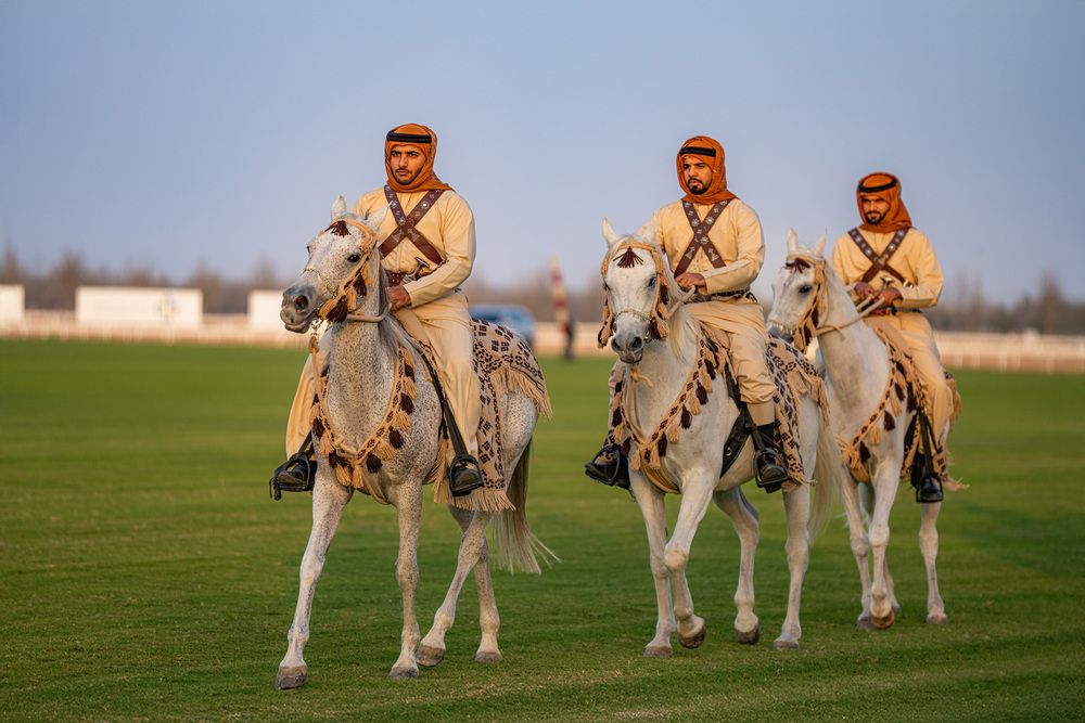 Фотография автора Amin Malekzadeh