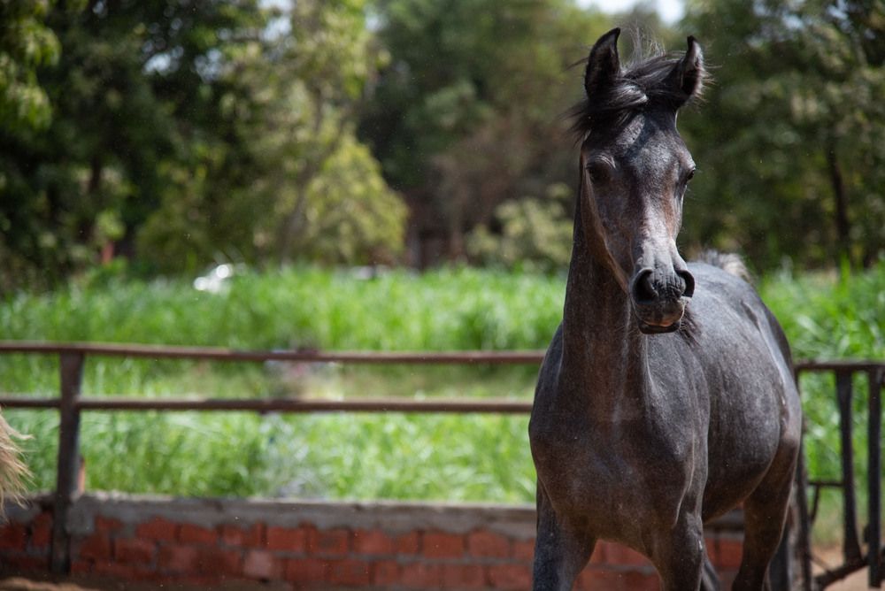 Фотография автора Moataz Helmy
