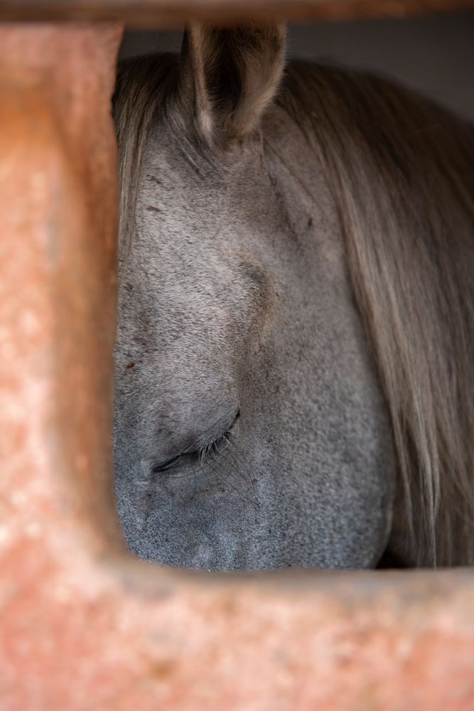 Фотография автора Moataz Helmy
