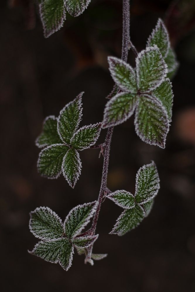 Photograph by Анна Зайченко