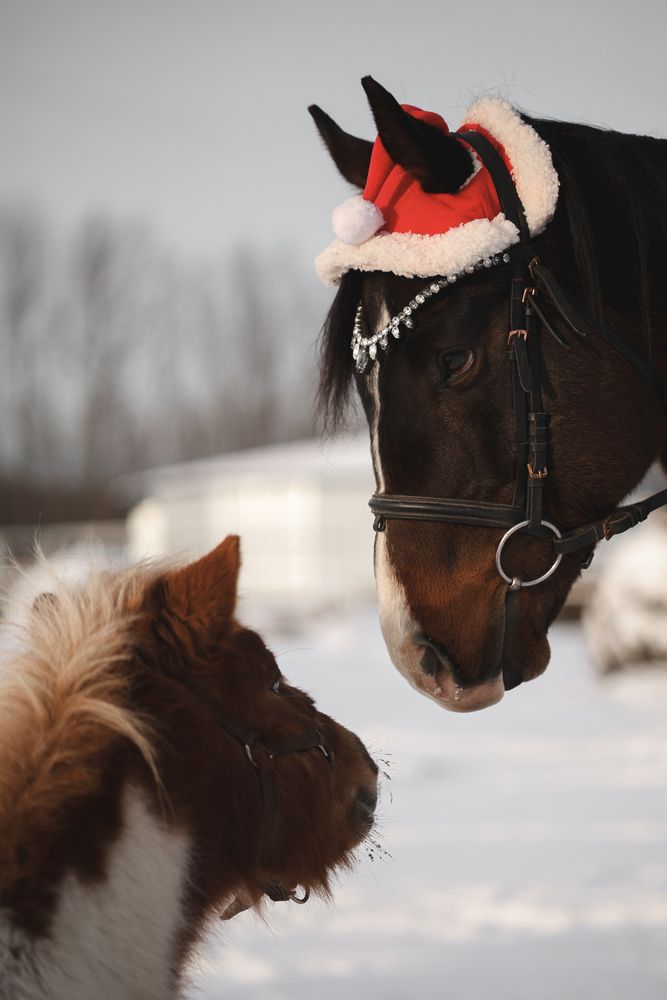 Photograph by Екатерина Ромадановская