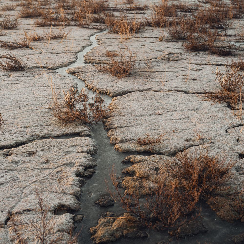 Фотография автора Сухенко Олег