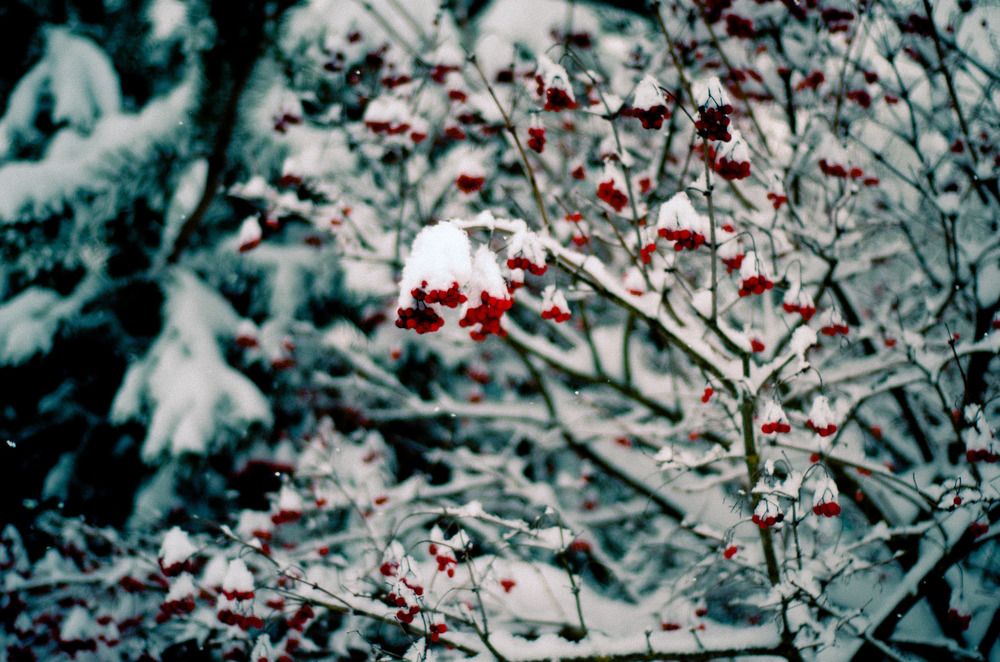 Photograph by Дмитрий Пронин