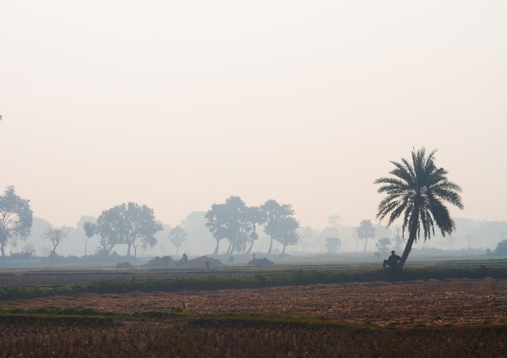 Photograph by Shifatul Shihon